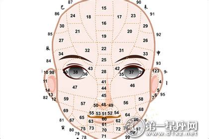 面相年齡運勢